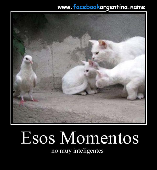 Imagenes De Amor Tristes Chistosas | tv codificada desmotivaciones de amor desmotivaciones Imagenes De Amor Tristes Chistosas | tv codificada desmotivaciones de amor desmotivaciones