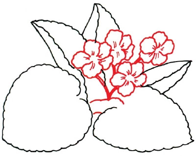 How to Draw a Violet in 5 Steps How to Draw a Violet in 5 Steps
