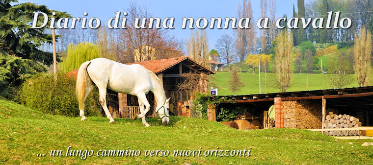 Diario di una nonna a cavallo