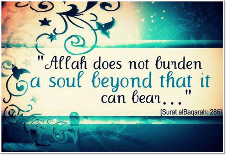 Saat Ujian datang BertimpaTimpa The Kehalusan Kelembutan