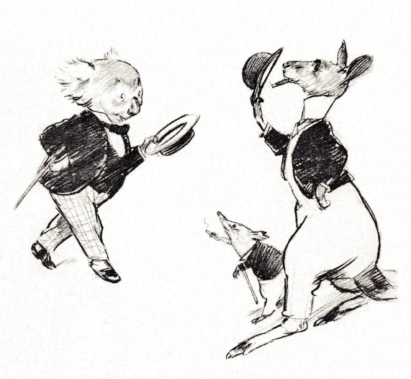 Bunyip Bluegum sets off to see the world walking cartoon koala approaches kangaroos