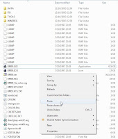 paste IPXWrapper files paste IPXWrapper files