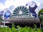 BIRD PARADISE