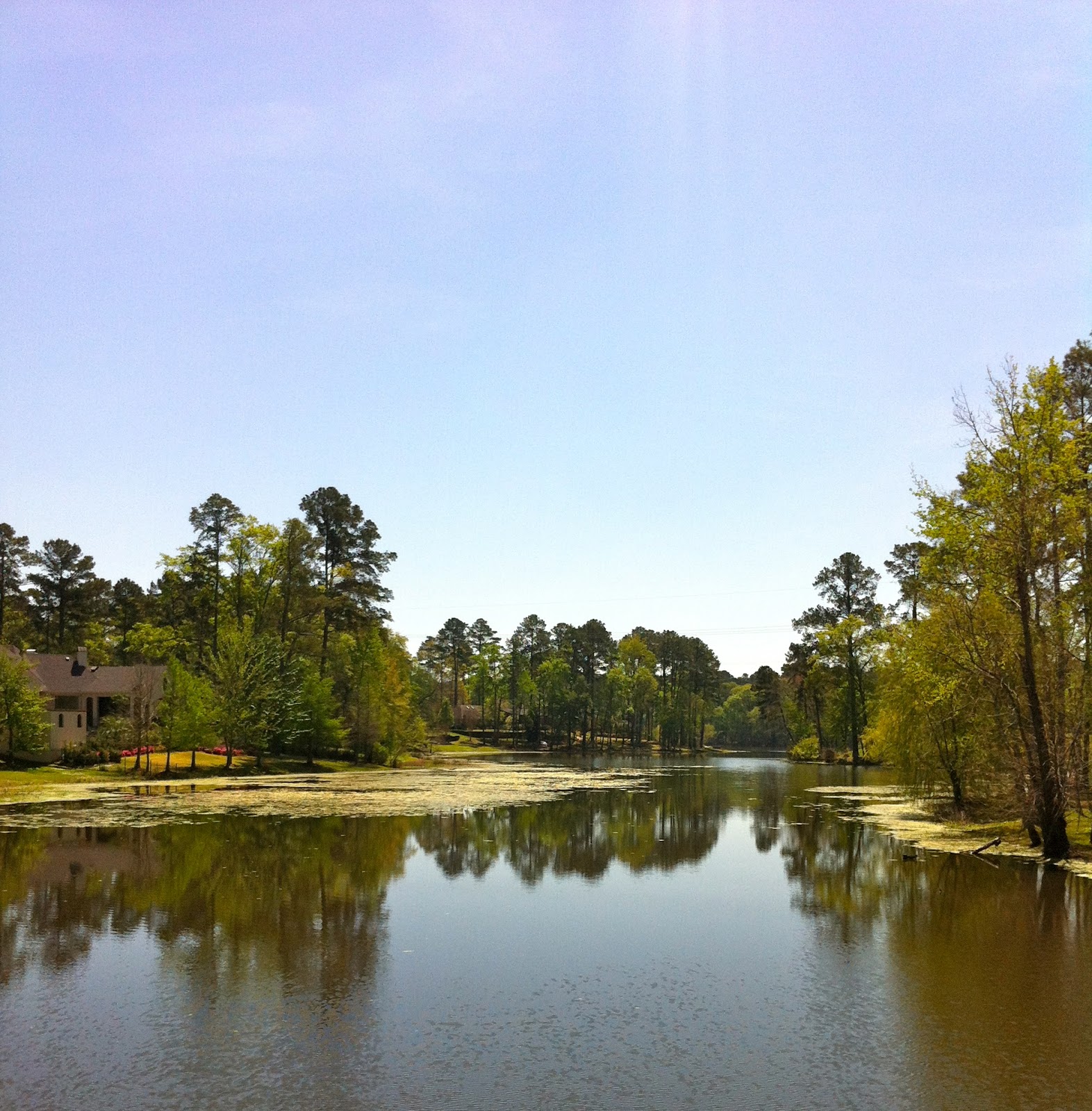 Long Lake Real Estate