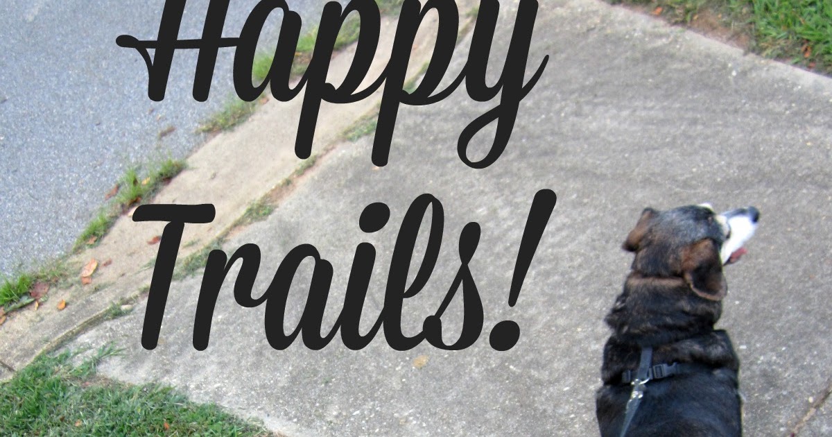 Discussion on this topic: 4 Tips for Traveling with Your Furry , 4-tips-for-traveling-with-your-furry/ Discussion on this topic: 4 Tips for Traveling with Your Furry , 4-tips-for-traveling-with-your-furry/