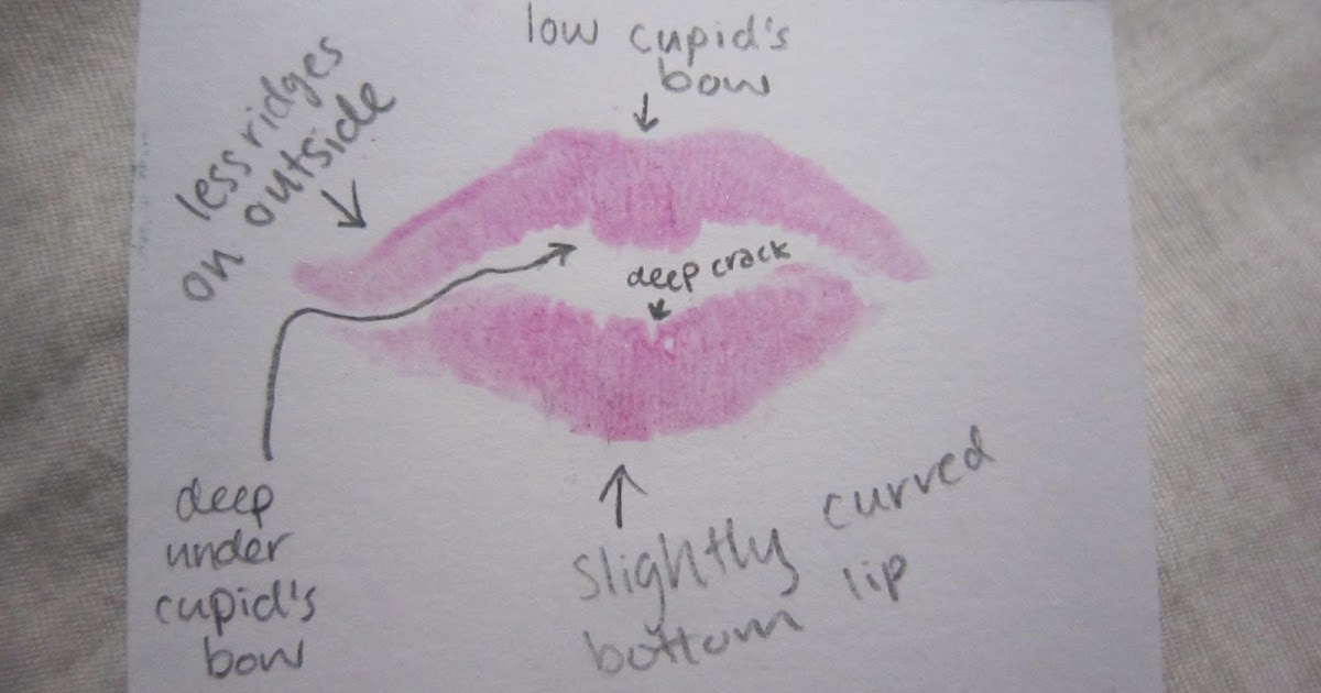 Forensics Blog Testing Lip Print Analysis