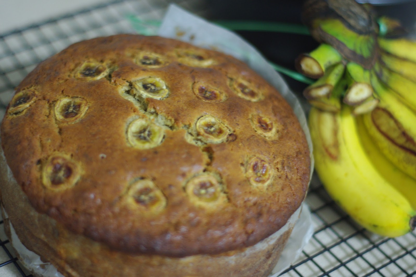 HUNDRED PLEATS & BAKING Hummingbird Bakery Blueberry muffins