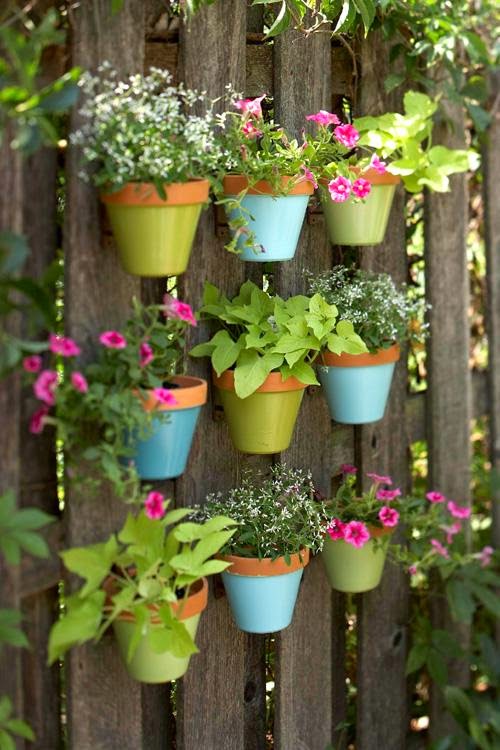 jardim vertical latas:Jardim Vertical jardim vertical latas:Jardim Vertical