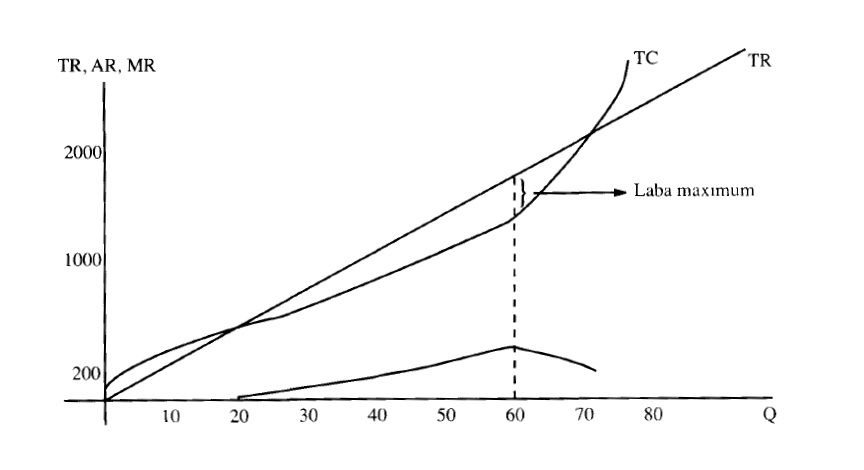 Blog Sigit Satria Dalam Jangka Panjang Apa Yang Harus Perusahaan Lakukan Saat Mengalami Kerugian