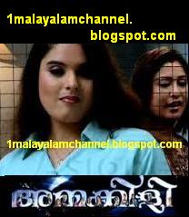 Ammakkili Malayalam Serial 17 May 2012