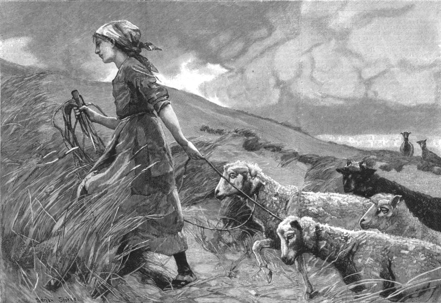 meaning of the shepherdess