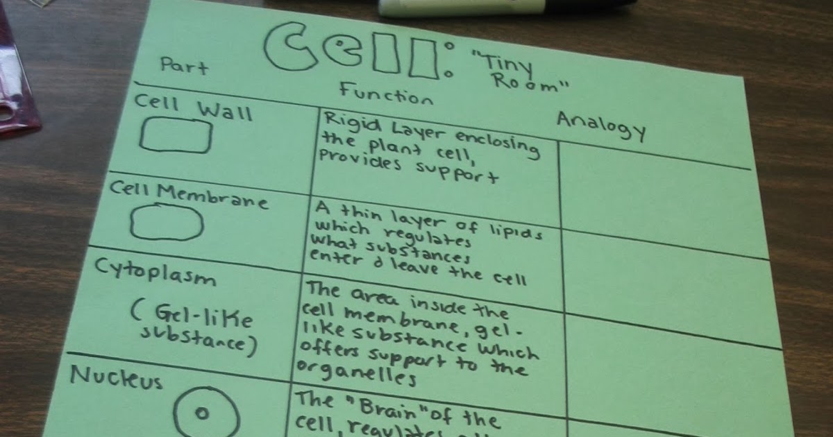 Learning in Place: Plant Cells Models and Metaphors