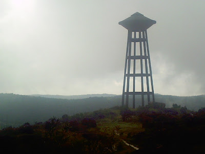 PICT0029.JPG