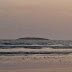 Una isla emergió del mar frente a Gwadar después del terremoto en Pakistán
