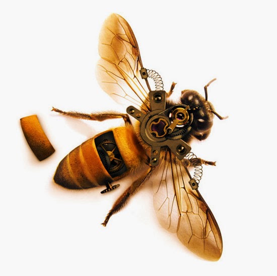 Highly Detailed Steampunk Insect Highly Detailed Steampunk Insect