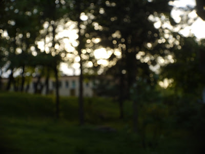 Cosmicar Television Lens 25/1.4 - bokeh @4.0 Cosmicar Television Lens 25/1.4 - bokeh @4.0