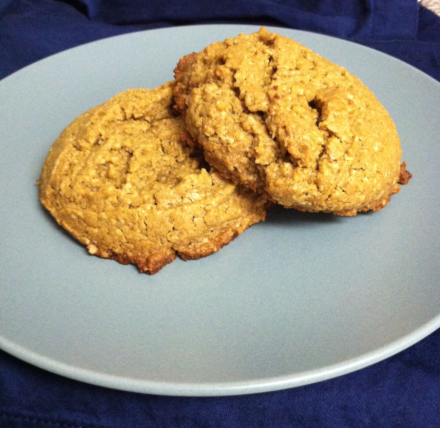 Silver Rose Sewing PERFECT GlutenFree, SugarFree Nut Butter Cookies