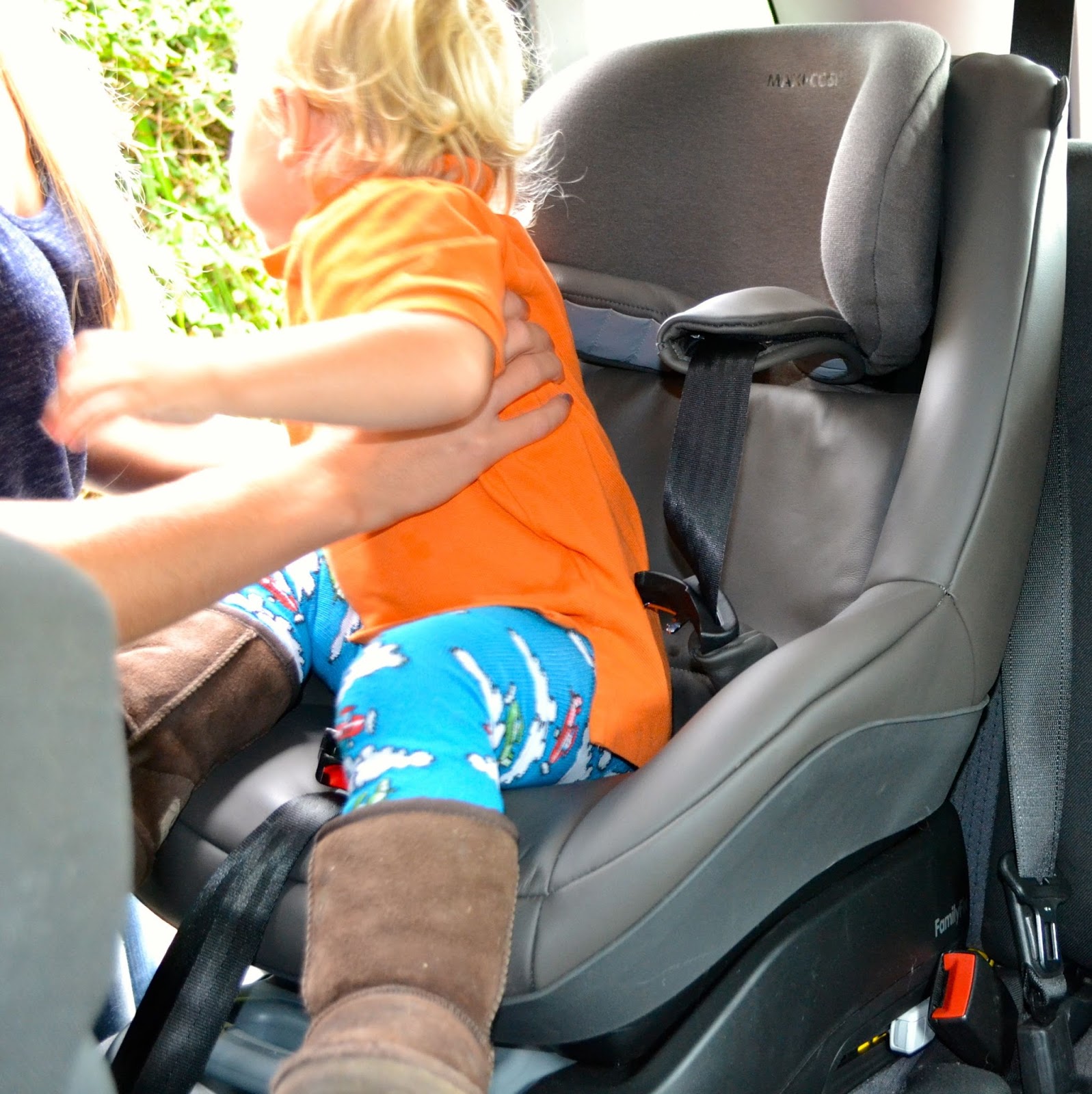 Putting Baby Into Maxi Cosi Car Seat Putting Baby Into Maxi Cosi Car Seat