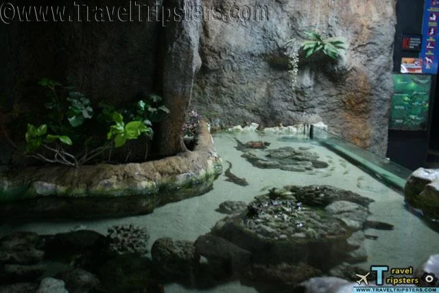 oceanarium oceanarium