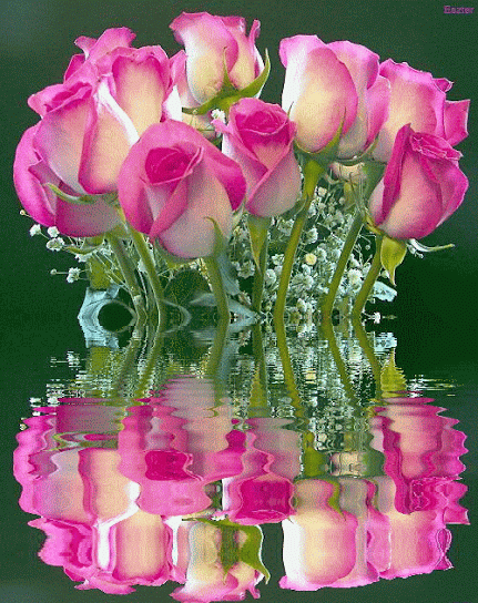http://4.bp.blogspot.com/-QUS02886ubs/UlDnVDY1DVI/AAAAAAAAF-M/IjWTaJbdE2k/s1600/Pink+Roses.gif