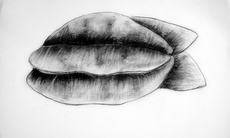 Future Designer 3rd Subject Drawing Analytical Drawing