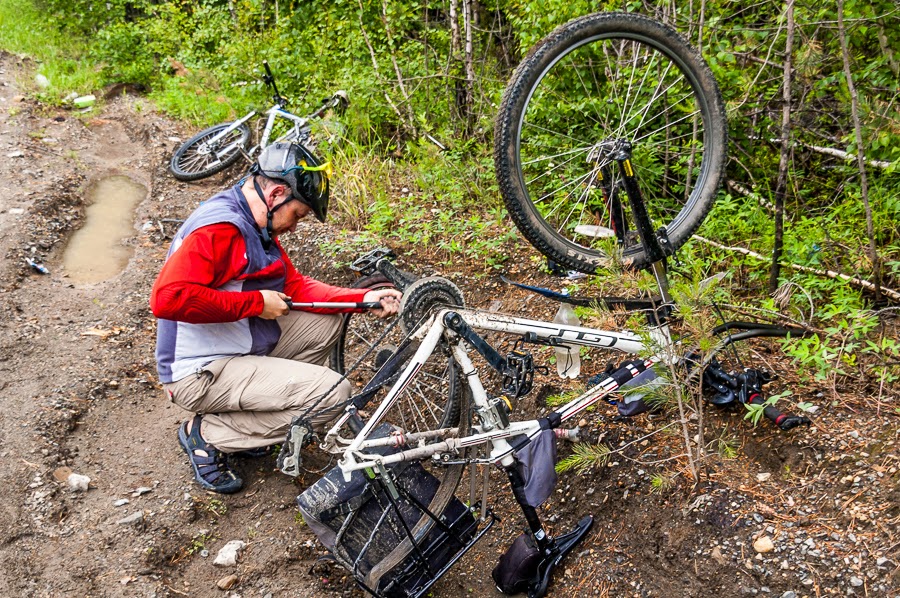 Туда, где намазано медом
