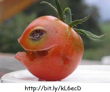 scary-tomato.jpg#scary%20tomato%20