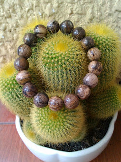 Vòng tay gỗ hóa thạch