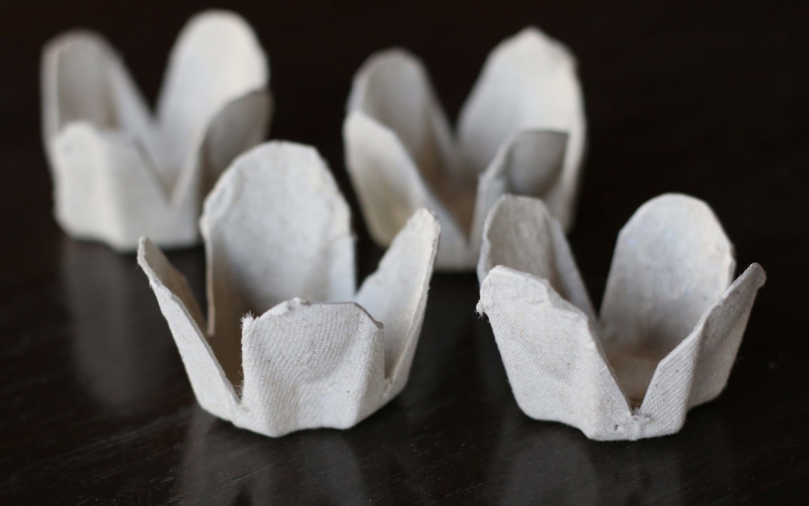 Upcycle // Papier Mache Roses from an Egg Carton