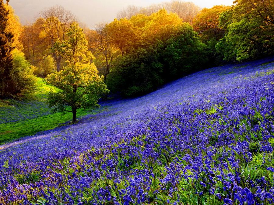 beautiful places to visit and see: USA most beautiful places beautiful places to visit and see: USA most beautiful places