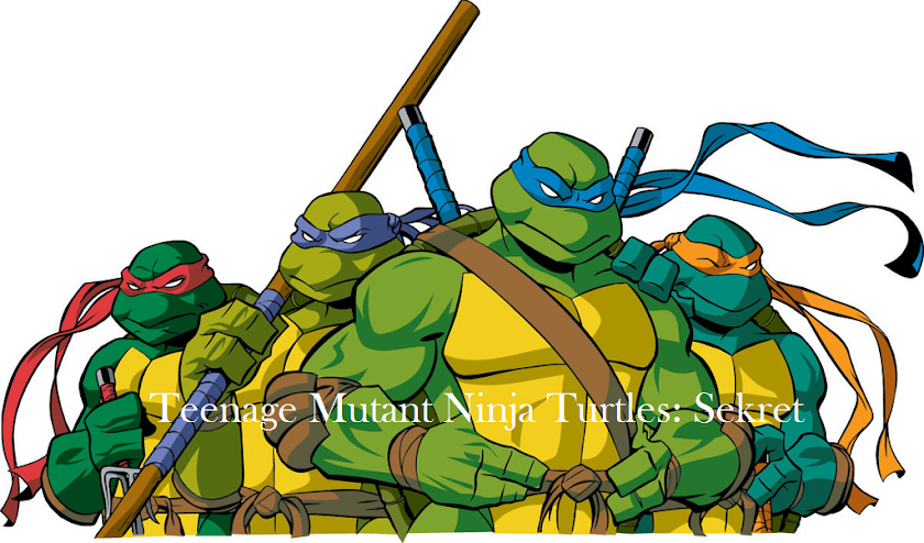 Teenage Mutant Ninja Turtles: Sekret