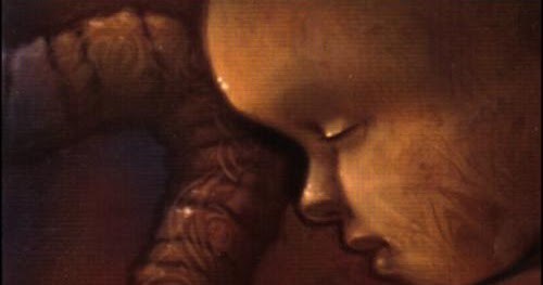 Linkin park hybrid theory cd