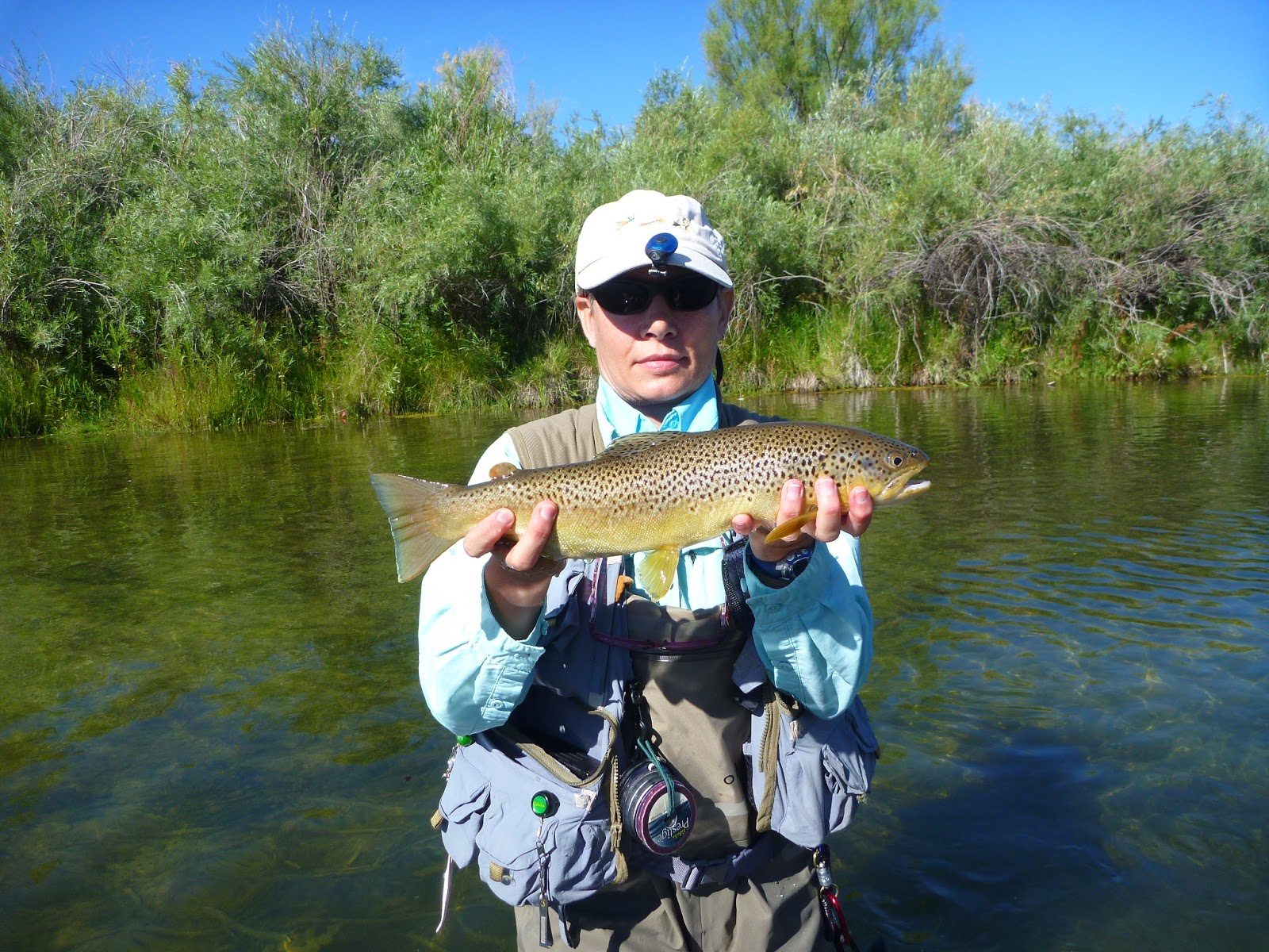 The San Juan River Fly Fishing Report Pagosa Springs, CO Best