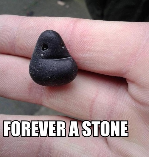 forever-a-stone.jpg