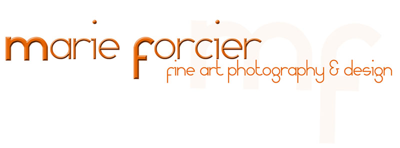 Marie Forcier Photography