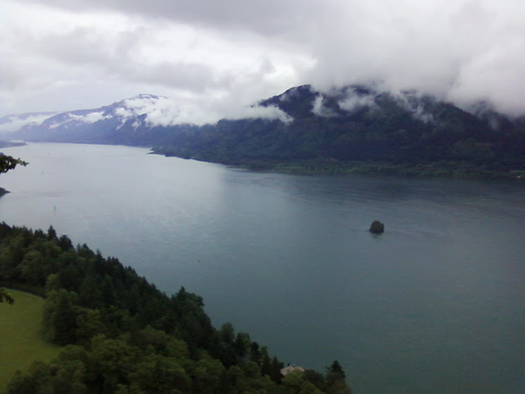 Columbia Gorge View