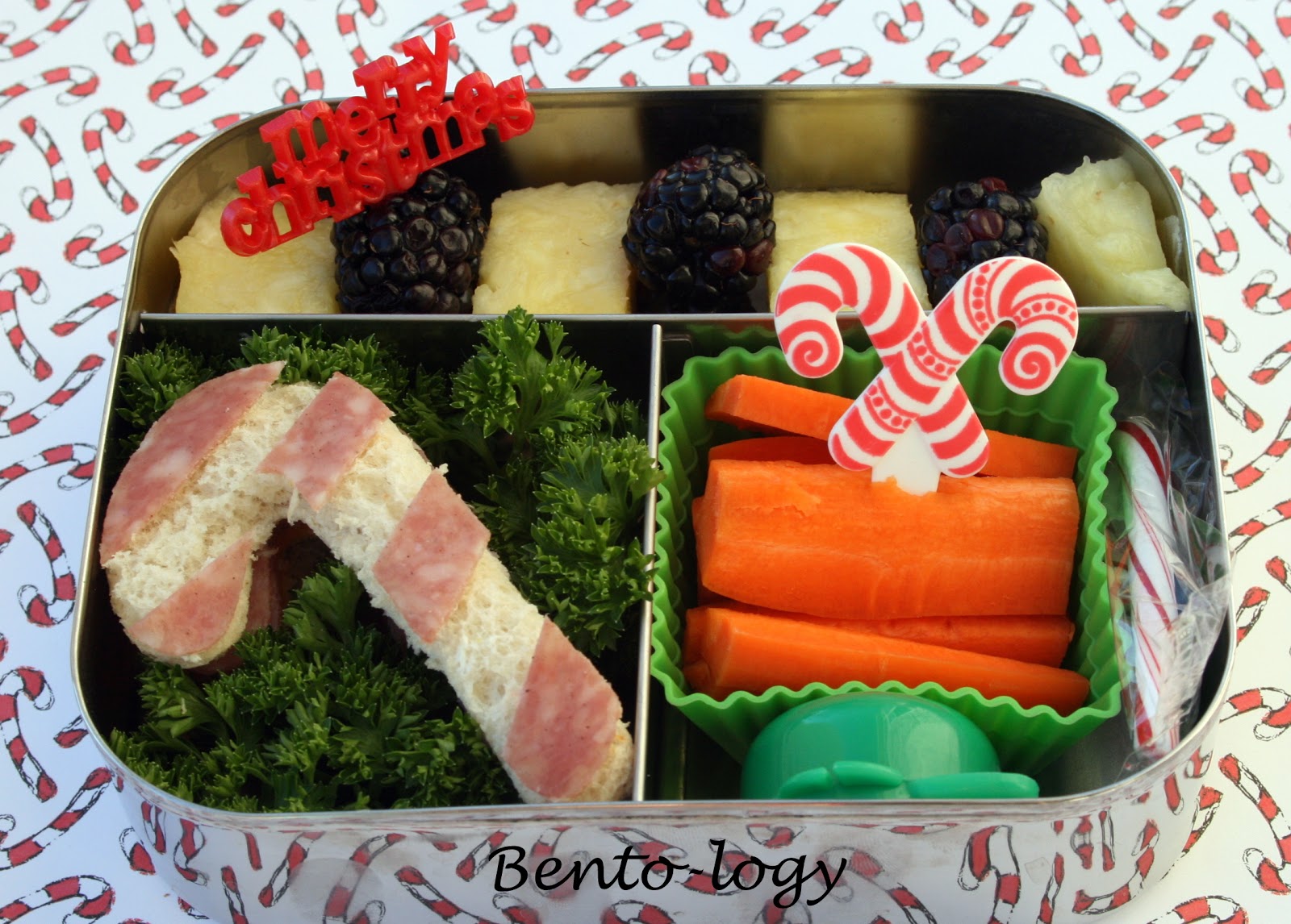 Bentology December 2012