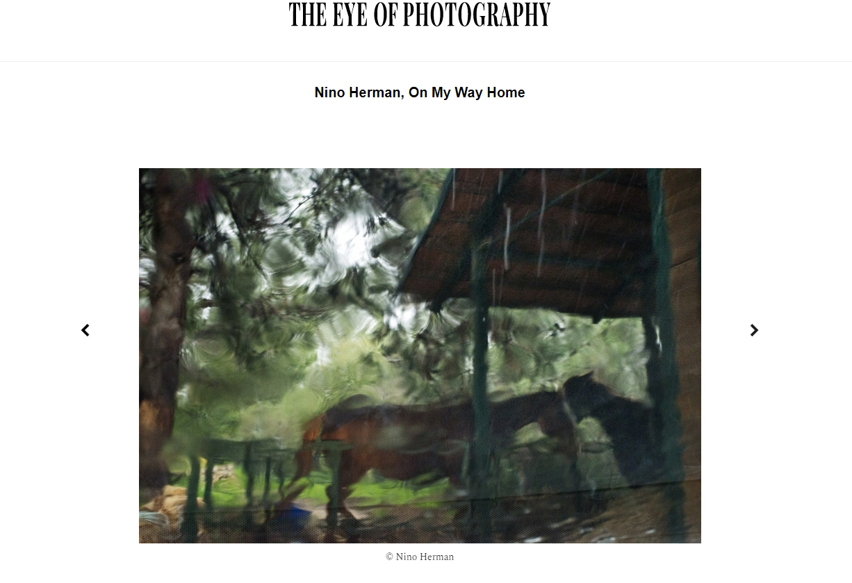 L'ŒIL DE LA PHOTOGRAPHIE