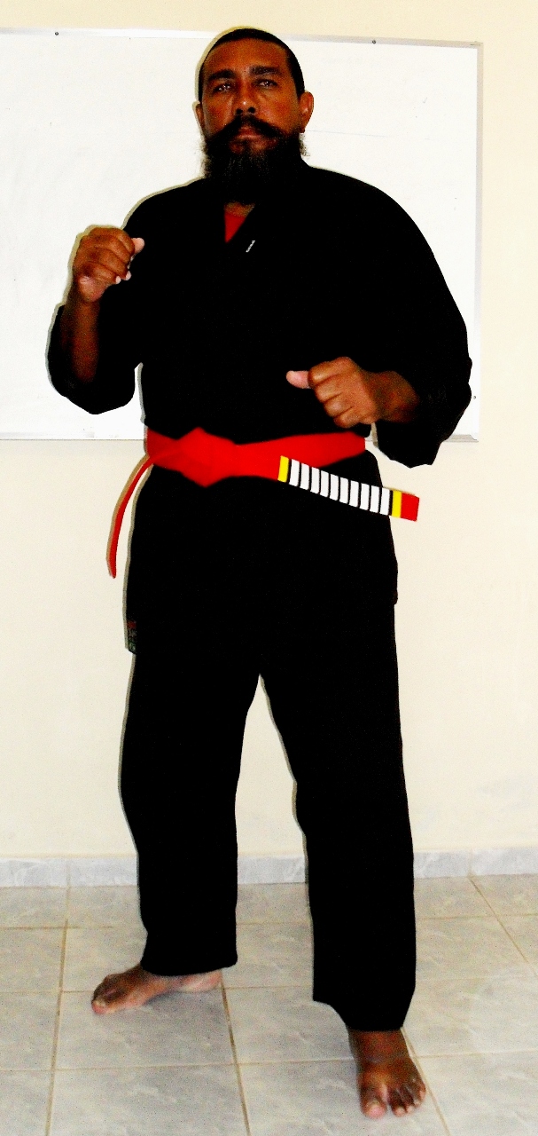 Martial arts phd thesis