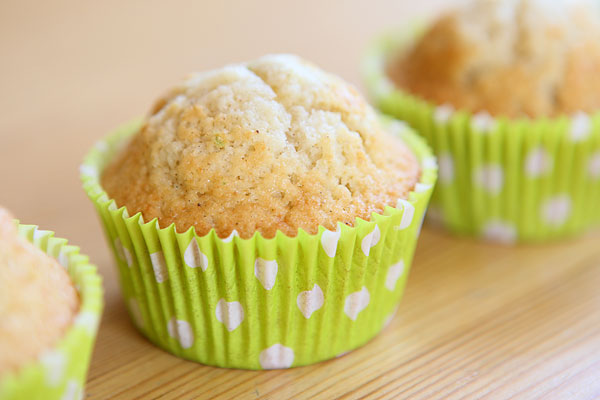 muffins recept vanilj muffins recept vanilj