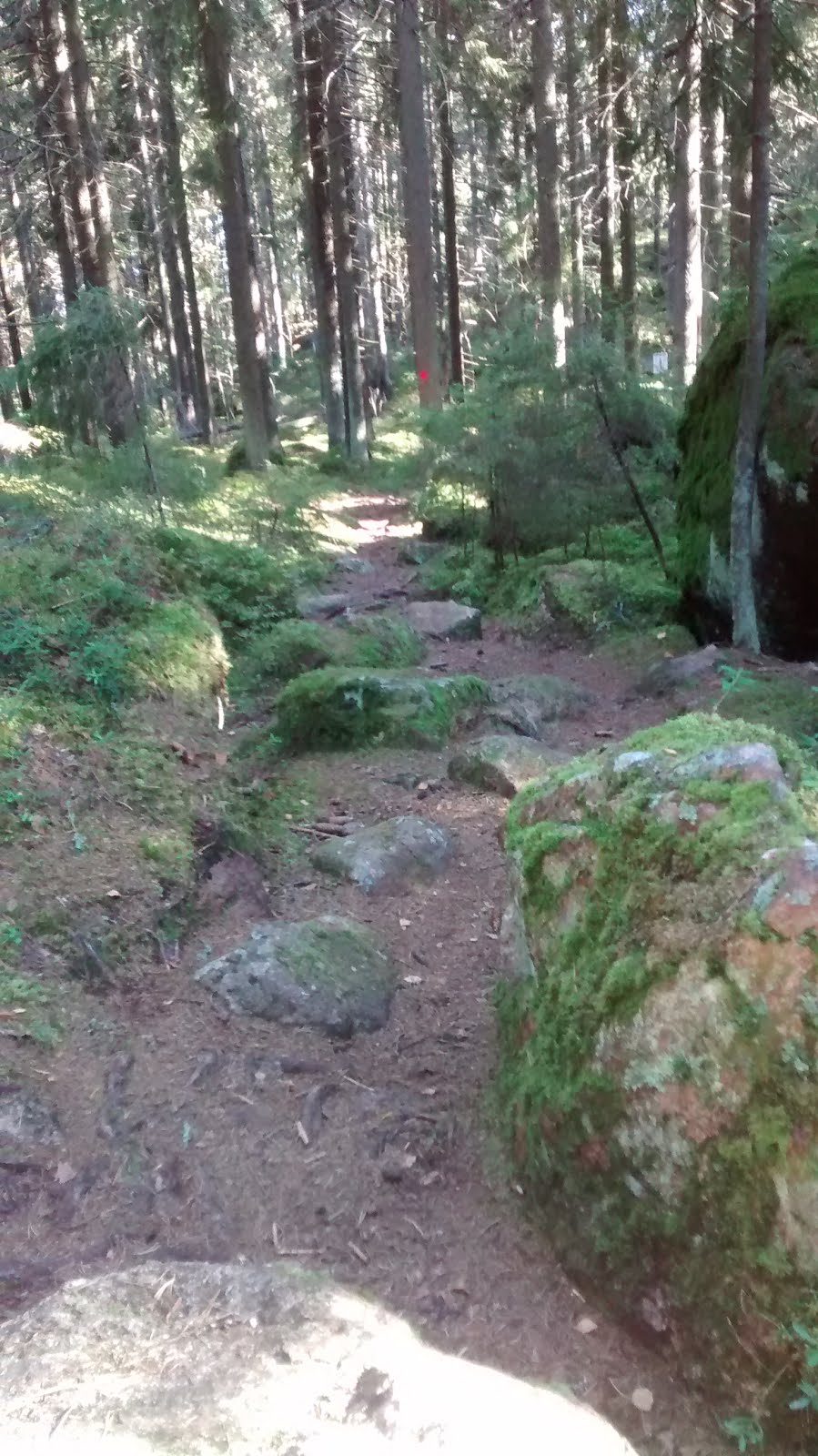 Follow the path through the forest in Porvoo