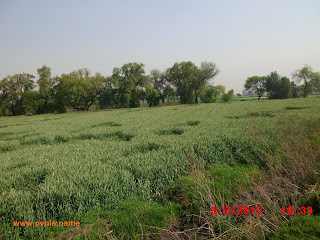 OVNIs en Tula OVNIs en Tula