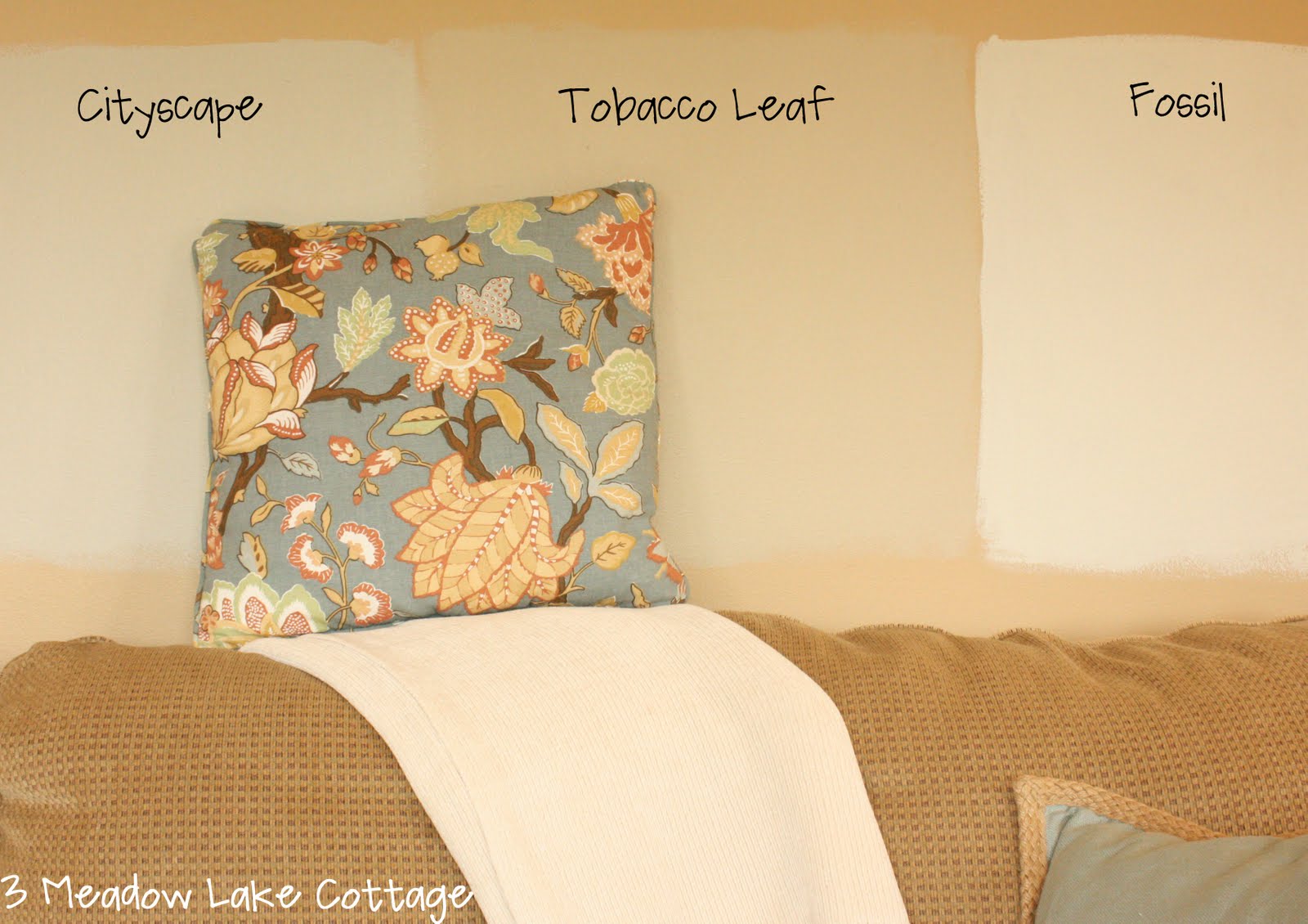 A Sea of Tan Painting the Family Room AGAIN Meadow Lake Road