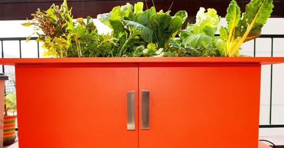 Revista Energía & Jardines: Estas jardineras hidropónicas son sensacionales