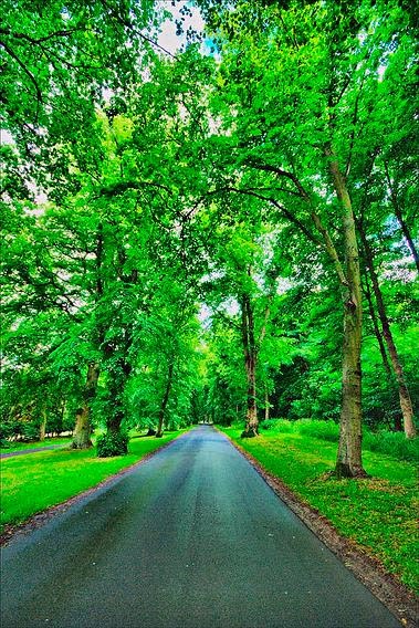 Nature Mobile Wallpapers