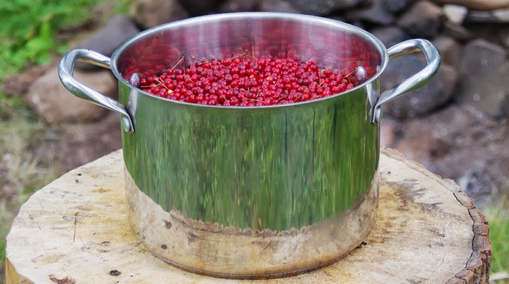American Grouch Pin Cherry Jelly
