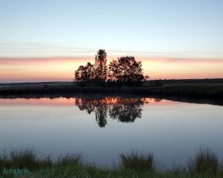 Amanecer junto a la charca de Navachón