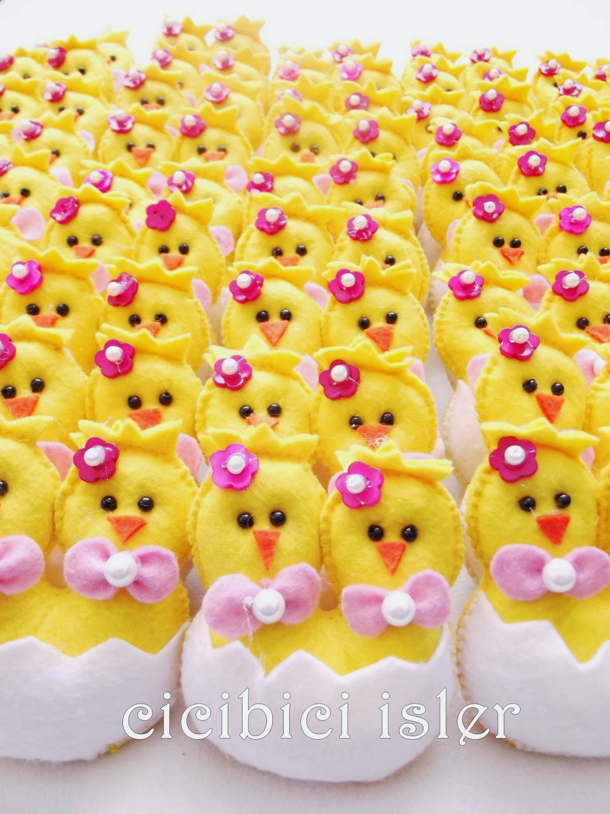 cicibici isler Keçe ikiz bebek Civcivler