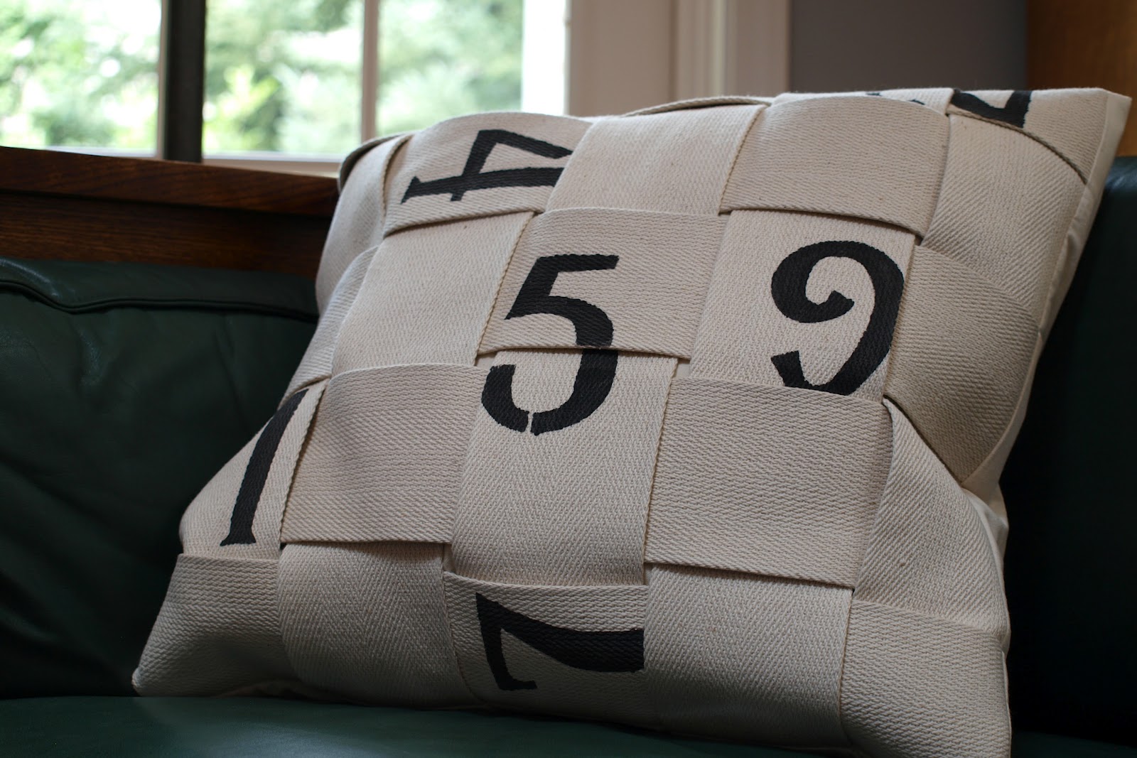 Elemental Carbon Number Pillow // DIY