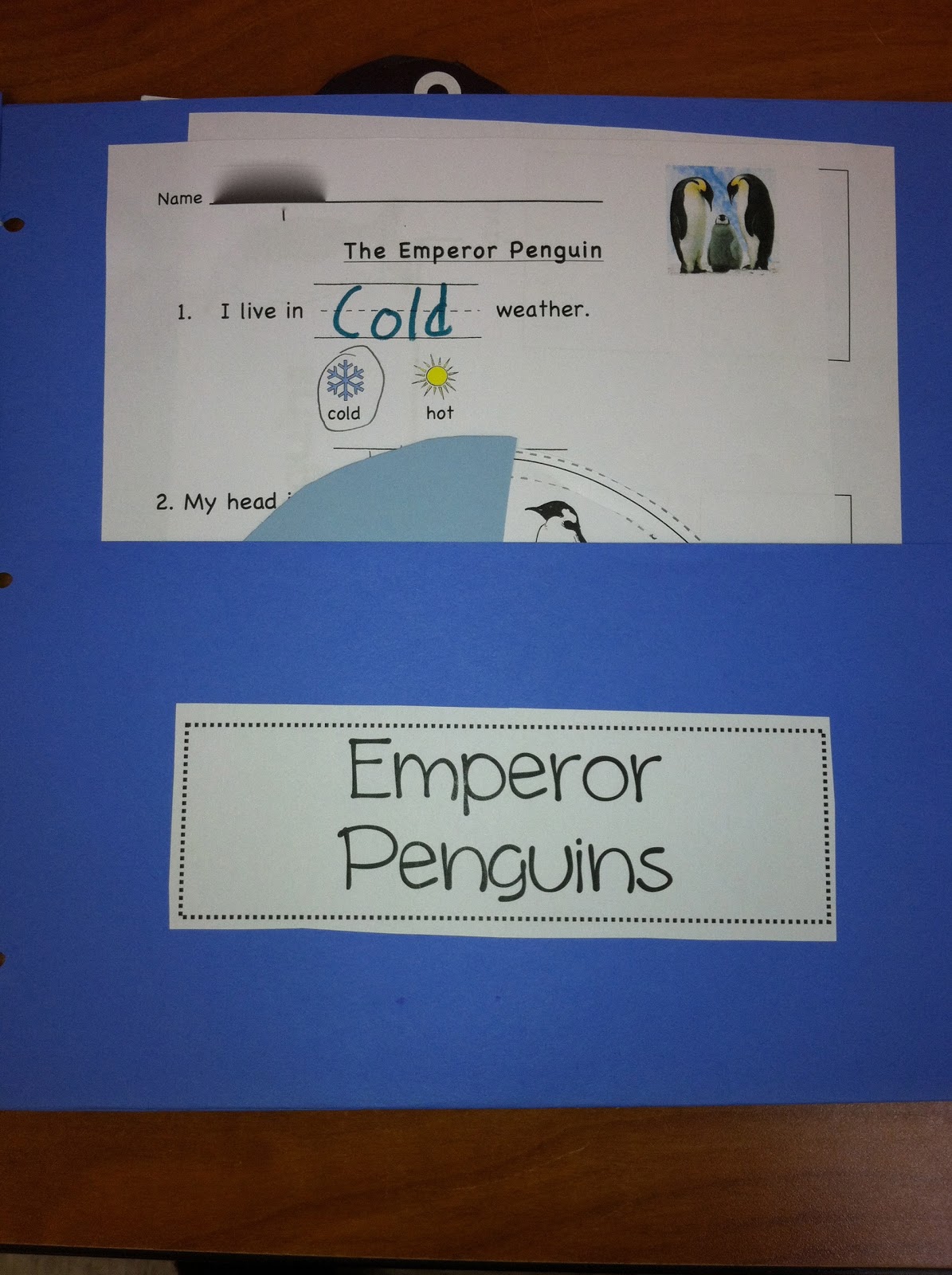 Sweet Kinders A Month Of Penguins